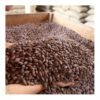 Dried Cocoa seeds