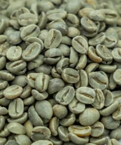 Coffee seed