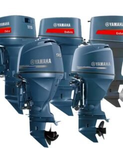 Outboard moto engine