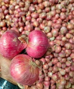 Fresh Onions