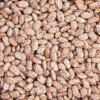 Pinto Beans