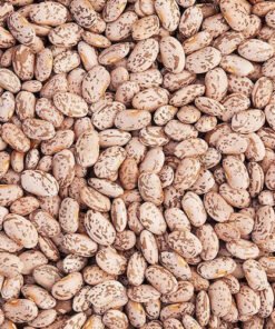 Pinto Beans