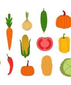 VEGETABLES and FRUITS