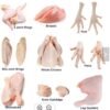 Frozen Chicken parts