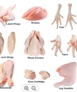 Frozen Chicken parts