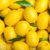 Fresh Lemon