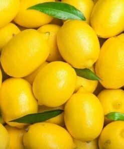 Fresh Lemon