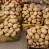 Fresh Potatoes