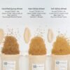 Wheat Grains
