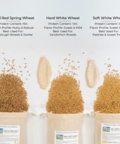 Wheat Grains